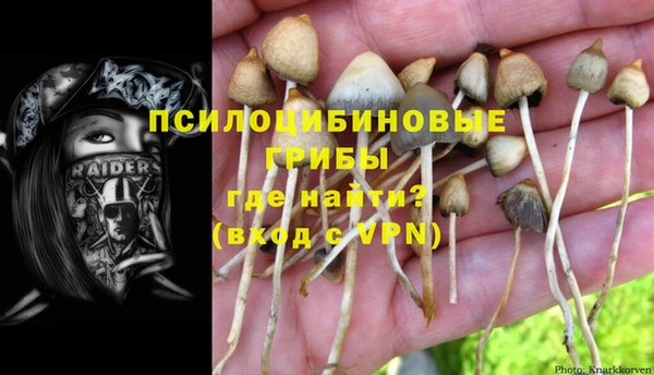 кристаллы Алексин