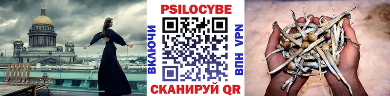 Псилоцибиновые грибы GOLDEN TEACHER  где купить наркоту  Пучеж 