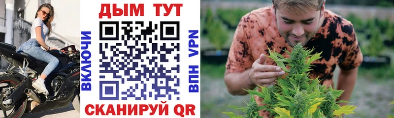 Канабис Ganja  дарк нет Telegram  Пучеж 